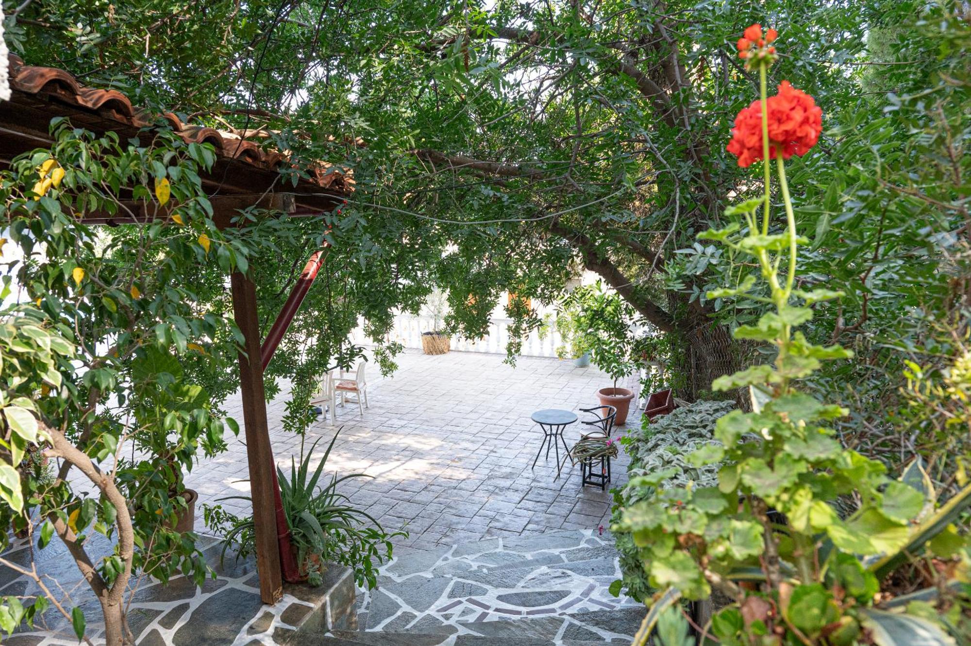 Lions 2 Studios & Apartments, Poros Island. Poros Town ภายนอก รูปภาพ